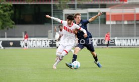 03.05.25 U17 VfB Stuttgart - U17 1. FSV Mainz 05