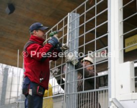 Stuttgarter Kickers