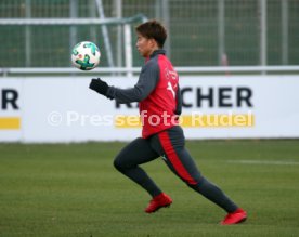 VfB Stuttgart Training