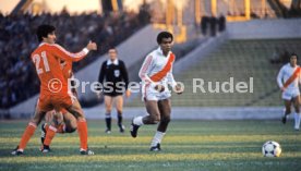 FIFA WM 1978