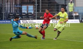 SG Sonnenhof Großaspach - FSV Zwickau