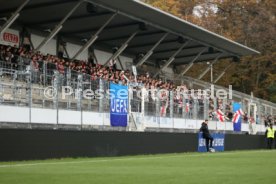 06.11.24 U19 VfB Stuttgart - U19 Atalanta Bergamo