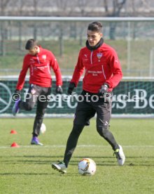 VfB Stuttgart Training