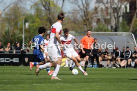 06.04.24 U17 VfB Stuttgart - U17 TSG 1899 Hoffenheim