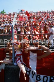 14.06.88 Deutschland - D&auml;nemark