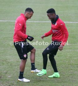 VfB Stuttgart Training