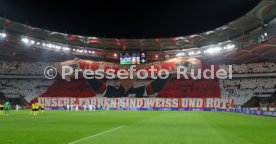 29.01.26 VfB Stuttgart - Young Boys Bern