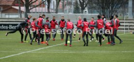 VfB Stuttgart Training