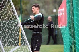 VfB Stuttgart - MOL Fehevar FC