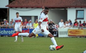TSG Backnang - VfB Stuttgart