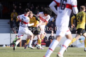 08.02.25 VfB Stuttgart II - SG Dynamo Dresden