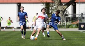 06.04.24 U17 VfB Stuttgart - U17 TSG 1899 Hoffenheim
