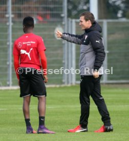VfB Stuttgart Training