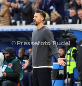 29.11.25 TSG 1899 Hoffenheim - FC Augsburg