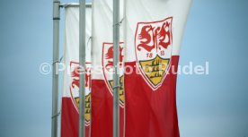 03.08.20 VfB Stuttgart Training
