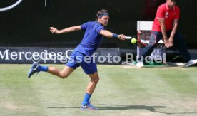 Tennis MercedesCup 2016 Stuttgart Weissenhof