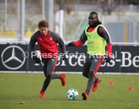 VfB Stuttgart Training