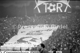 15.11.88 FC Bayern M&uuml;nchen - VfB Stuttgart