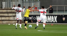 10.10.24 VfB Stuttgart - SSV Ulm 1846