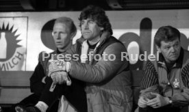 31.03.94 VfB Stuttgart - 1. FC Kaiserslautern