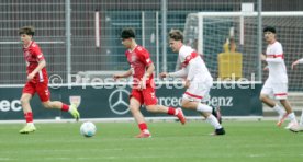 29.03.25 U17 VfB Stuttgart - U17 1. FC Köln