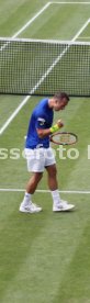 Tennis MercedesCup 2016 Stuttgart Weissenhof
