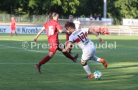 VFB Stuttgart-Fan Auswahl Spiel