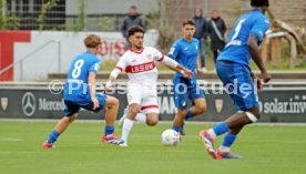 14.09.24 U17 VfB Stuttgart - U17 TSG 1899 Hoffenheim