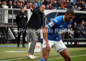 11.02.23 TSG 1899 Hoffenheim - Bayer 04 Leverkusen