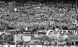 26.04.89 Niederlande - Deutschland