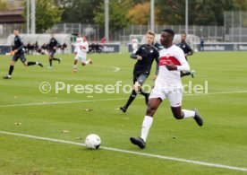 U19 VfB Stuttgart - U17 TSG 1899 Hoffenheim