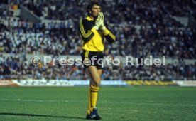 EM 1980 Deutschland - Belgien