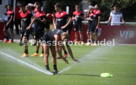18.08.20 VfB Stuttgart Training