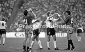 17.06.88 Deutschland - Spanien