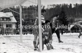 29.01.94 GSV Maichingen - VfB Stuttgart