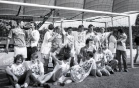 05.06.1993 VfB Stuttgart - SV Werder Bremen