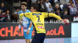 TVB Stuttgart - Rhein-Neckar L&ouml;wen