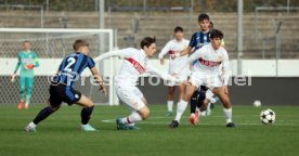 06.11.24 U19 VfB Stuttgart - U19 Atalanta Bergamo