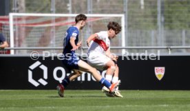 06.04.24 U17 VfB Stuttgart - U17 TSG 1899 Hoffenheim