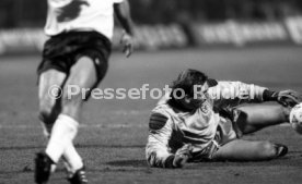 16.10.1991 Deutschland - Wales