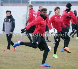 VfB Stuttgart Training