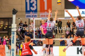 29.10.25 Allianz MTV Stuttgart - Dresdner SC