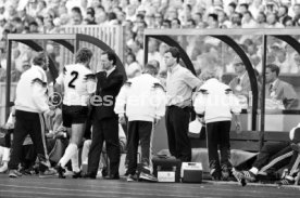 14.06.88 Deutschland - D&auml;nemark