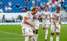 20.09.25 TSG 1899 Hoffenheim - FC Bayern M&uuml;nchen