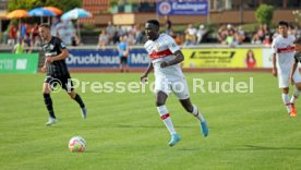 09.07.22 VfB Stuttgart - FC Z&uuml;rich
