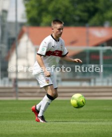 U19 VfB Stuttgart - U17 TSG 1899 Hoffenheim