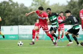 04.03.25 U19 Sporting CP - U19 VfB Stuttgart