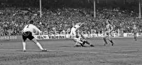 VfB Stuttgart - 1. FC K&ouml;ln