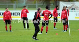VfB Stuttgart Training