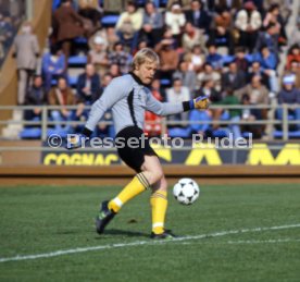 FIFA WM 1978